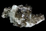 Smoky Quartz Crystal Cluster - Brazil #124586-1